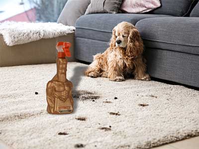 Dirt and Stains Removal