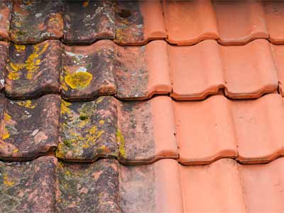 Roof Cleaning