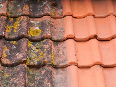 Roof Cleaning